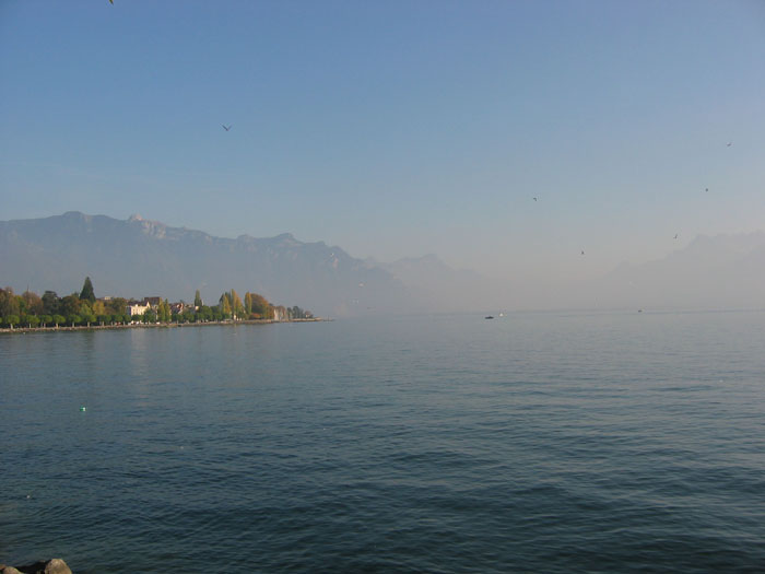 2_Vevey2